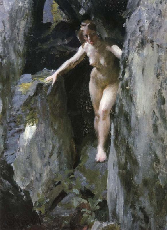 Anders Zorn Unknow work 13 Norge oil painting art